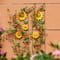 Glitzhome&#xAE; 4ft. Metal Sunflowers Garden Trellis